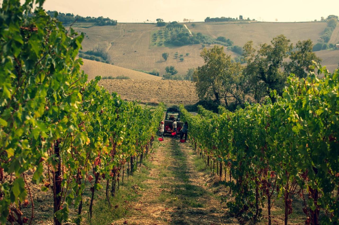 Filodivino Wine Resort & Spa San Marcello  Εξωτερικό φωτογραφία