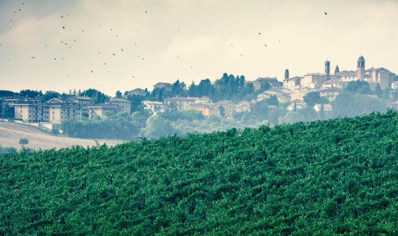 Filodivino Wine Resort & Spa San Marcello  Εξωτερικό φωτογραφία